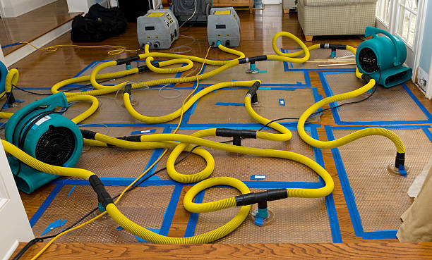 Professional Crawl Space Water Removal technician working in Mapleton, MN